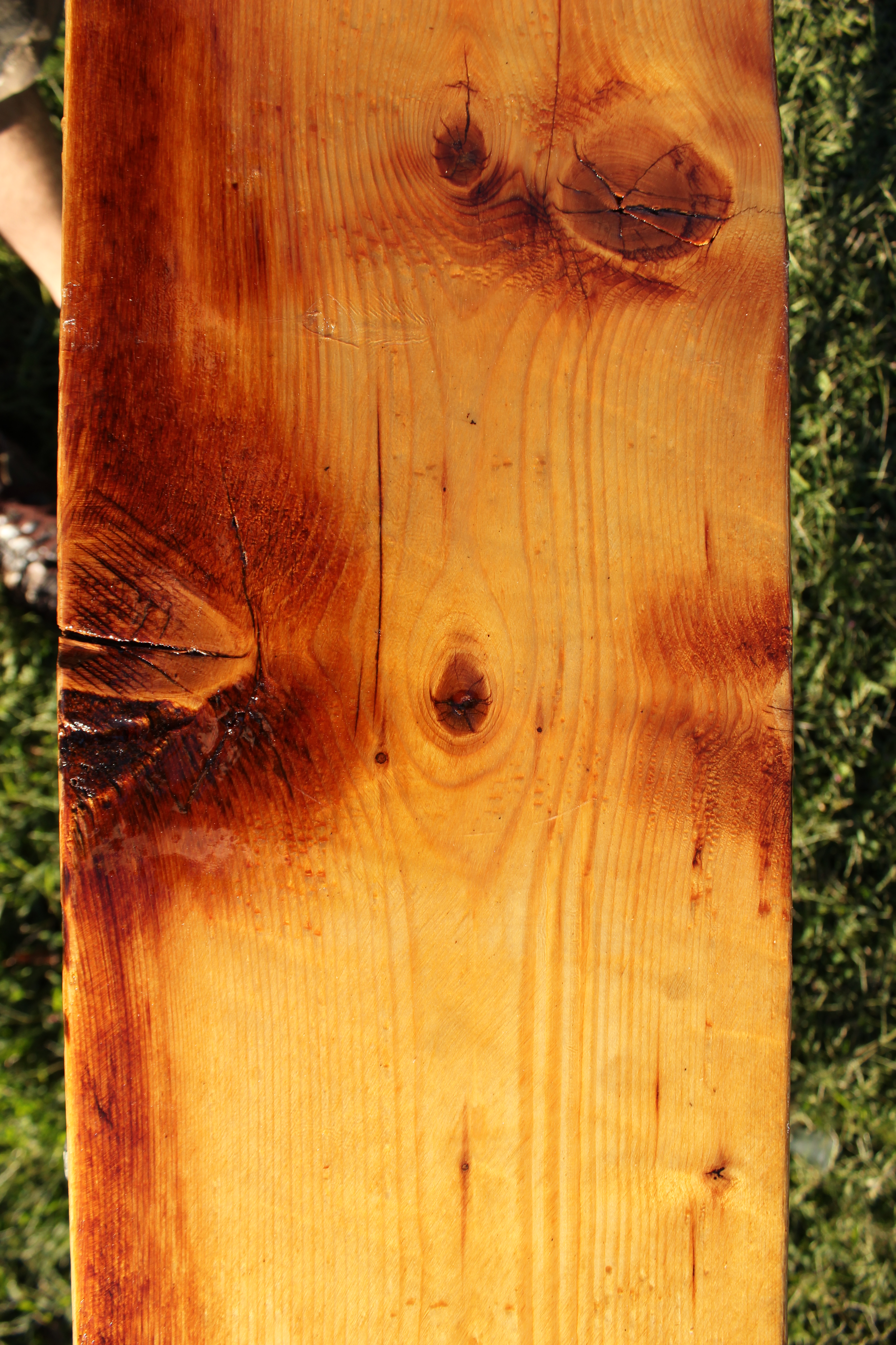 mccallister sculpture - wood - home design